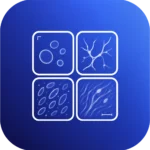 NotyGrid