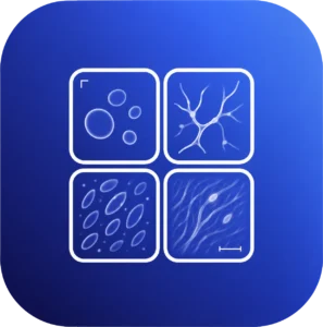 NotyGrid: Scientific Image Grid Maker for Publication-Ready Figures