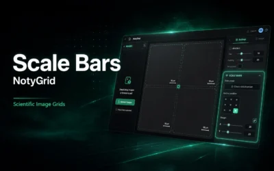 NotyGrid Scale Bars settings panel showing preset, anchor position, and margin controls for scientific image grids
