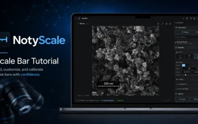 NotyScale workspace showing a 500 nm scale bar added to an SEM image without ImageJ