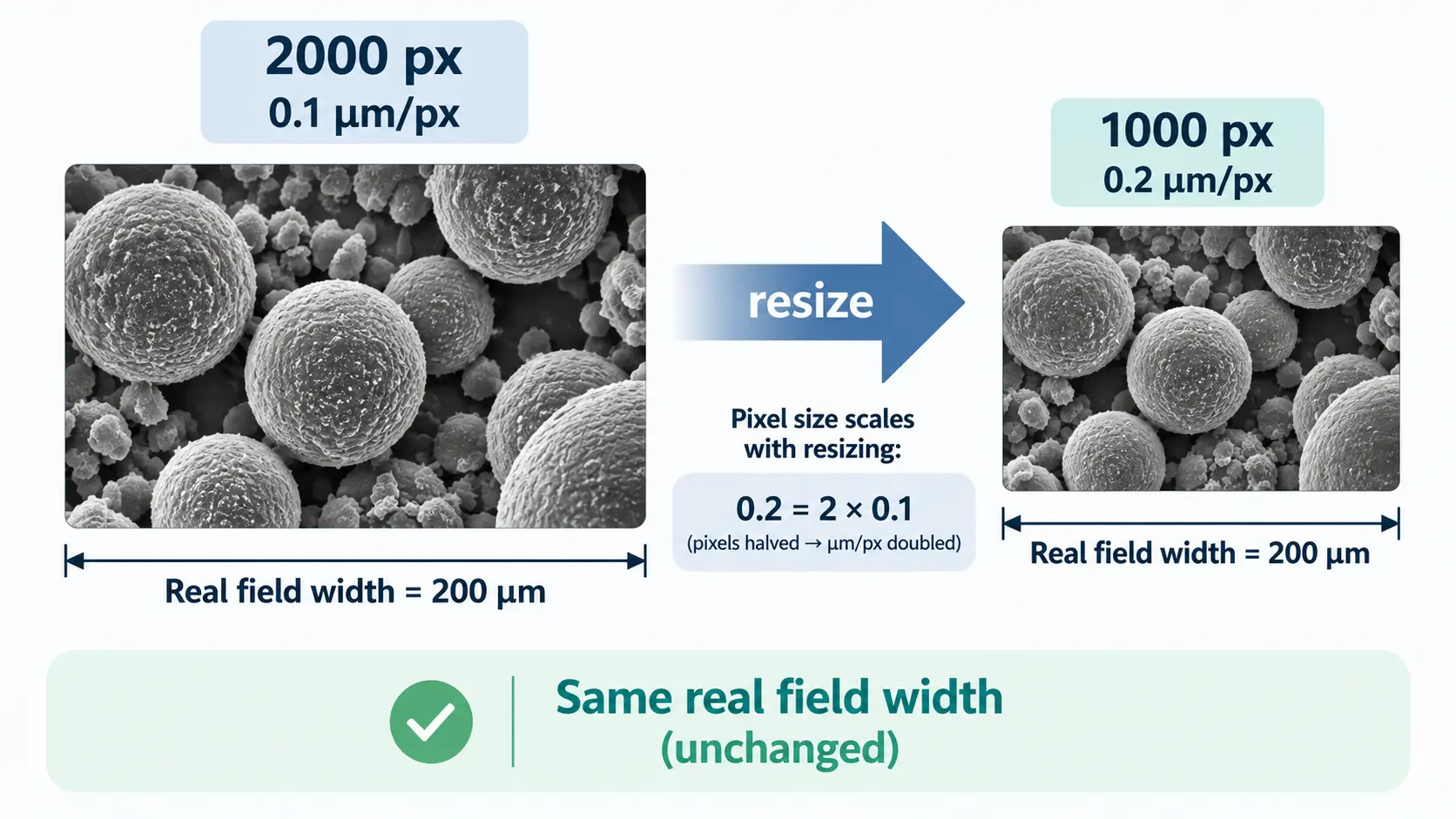 Microscopy image calibration changing from 0.1 to 0.2 micrometers per pixel after resizing
